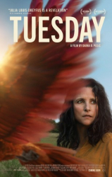 : Tuesday 2023 German Dl 1080P Web X264-Wayne