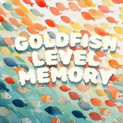 : Goldfish Level Memory (2024)