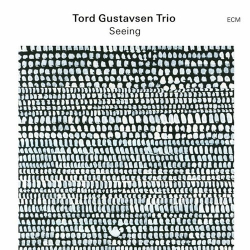 : Tord Gustavsen Trio - Seeing (2024)