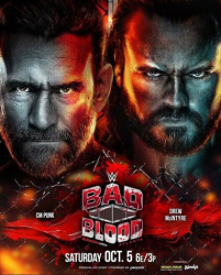 : WWE Bad Blood 2024 German AAC 1080p WEBRiP h264-WOTT