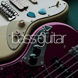 : bass guitar (2024)