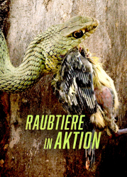 : Raubtiere in Aktion 2020 German Dl Doku 1080p Web x264-ClassiCalhd