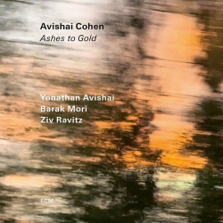 : Avishai Cohen - Ashes to Gold (2024)