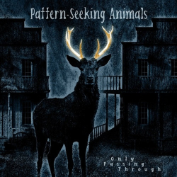 : Pattern-Seeking Animals - Only Passing Through (Bonus Track Edition)  (2022)