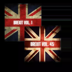 : Brexit Vol. 1 - 45 (2020) 