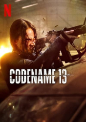 : Codename 13 2024 German AC3 WEBRip x264-ZeroTwo