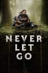 : Never Let Go 2024 German AC3 MD DL WEBRip x265-LDO