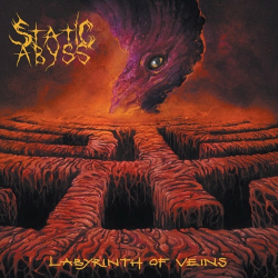 : Static Abyss - Labyrinth of Veins  (2022)