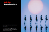 : Adobe Premiere Pro 2025 v25.0