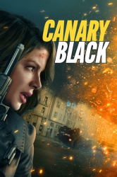 : Canary Black 2024 German AC3 WEBRip x265-LDO