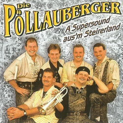 : Die Pöllauberger - Sammlung (03 Alben) (2023)