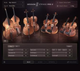 : Native Instruments Session Strings Pro 2 v1.0.2