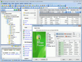 : Ems Sql Manager for PostgreSQL v5.9.4 Build 51539