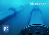 : Schlumberger Pipesim 2017.2 Build 1071 (x64)