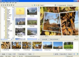 : PicturesToExe Deluxe v9.0.20 + Portable Multilingual