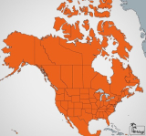 : Navigon MN 7 & MN 8 Nordamerika Karten Q2.2019