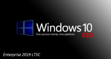 : Windows 10 Enterprise 2019 X64 Esd