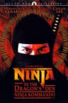 Ninja Kommando 1982 German 800p AC3 microHD x264 - RAIST